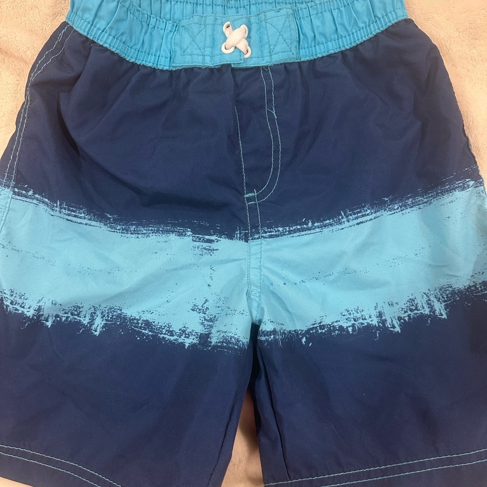 Blue and Light Blue Swim Shorts